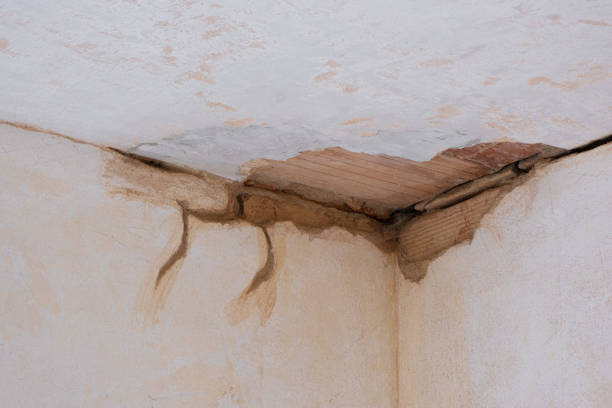 Best Ceiling water damage repair  in Old Westbury, NY