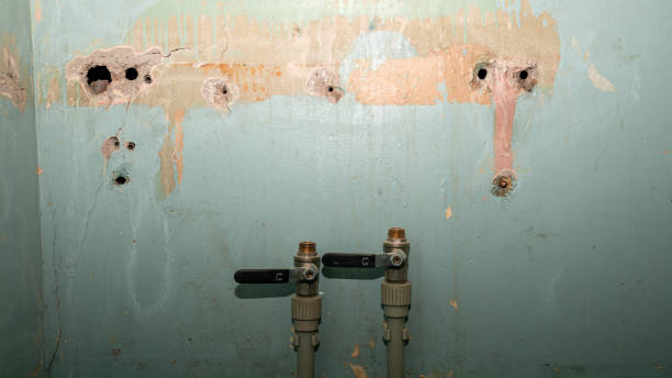 Best Basement water damage restoration  in Old Westbury, NY